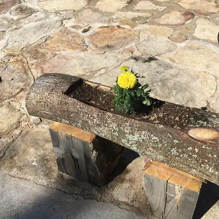 Cara Norte De Gredos * Hoyos del Espino