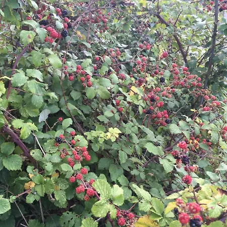 Cara Norte De Gredos 샬레