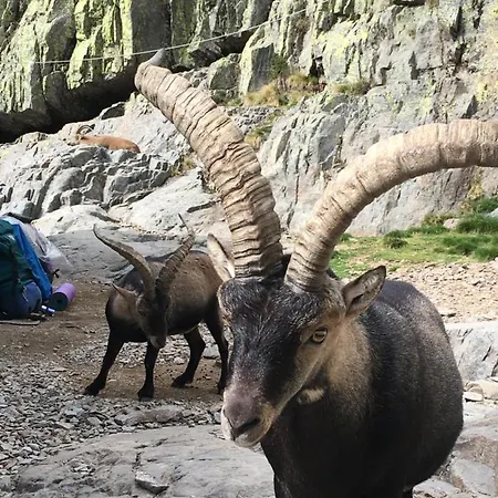 Chalet Cara Norte De Gredos *