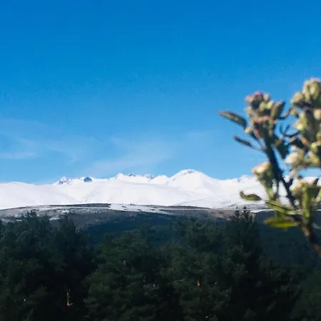 Cara Norte De Gredos * Hoyos del Espino