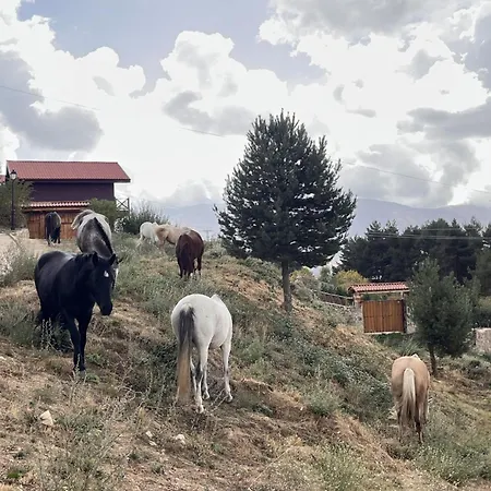샬레 Cara Norte De Gredos 요요스델에스피뇨