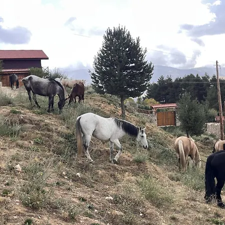Cara Norte De Gredos *
