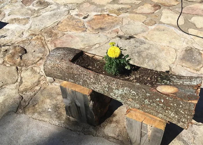 Cara Norte De Gredos * Hoyos del Espino