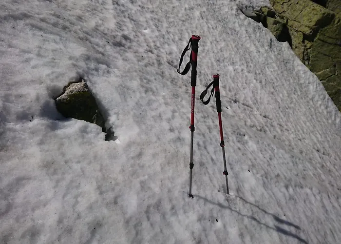 Chalet Cara Norte De Gredos *