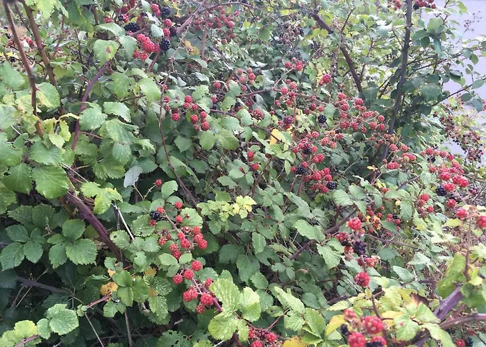 Cara Norte De Gredos Chalet