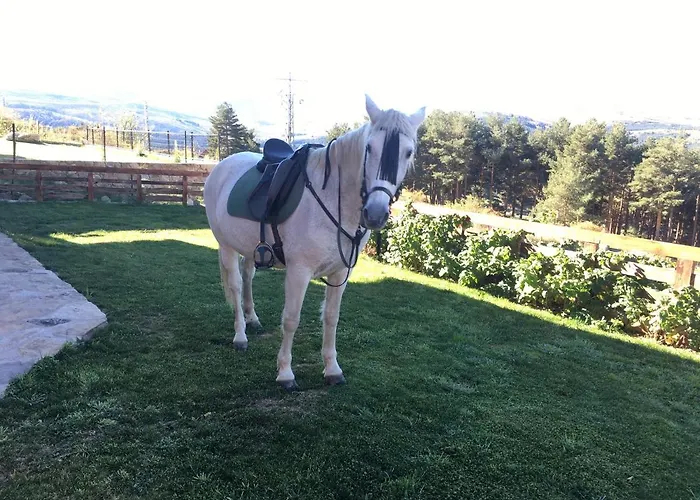 Cara Norte De Gredos Chalet