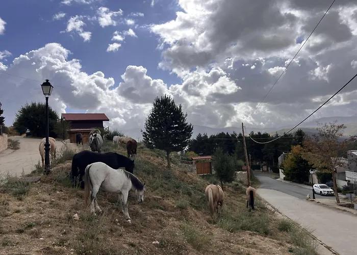 Chalet Cara Norte De Gredos *