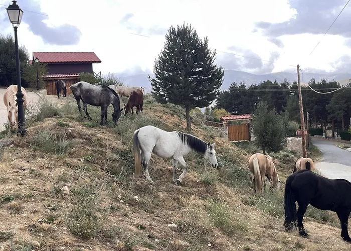 Cara Norte De Gredos *
